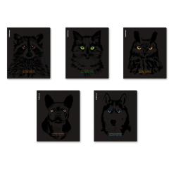 ErichKrause Gaze general student's notebook, 48 sheets, cage, soft-touch lamination+selective UV-VARNISH_MIX-PACK 60619 ErichKrause Gaze general student's notebook, 48 sheets, cage, soft-touch lamination+selective UV-VARNISH_MIX-PACK 60619
