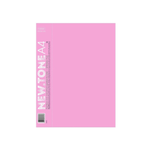 Папка Пластиковая 20 вкладышей А4ф корешок 14 мм 600мкм NEWtone PASTEL ПИОН "Premium"