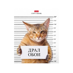 Тетрадь 48л А5ф клет на скобе 5 диз. в блоке скругл.углы серия Кот-обормот Тетрадь 48л А5ф клет на скобе 5 диз. в блоке скругл.углы серия Кот-обормот
