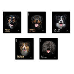 ErichKrause Dog general student notebook, 96 sheets, cage, matte lamination_mix-PACK 59977 ErichKrause Dog general student notebook, 96 sheets, cage, matte lamination_mix-PACK 59977