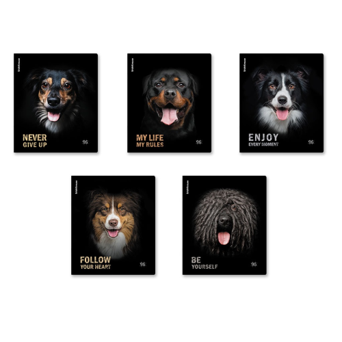 ErichKrause Dog general student notebook, 96 sheets, cage, matte lamination_mix-PACK 59977
