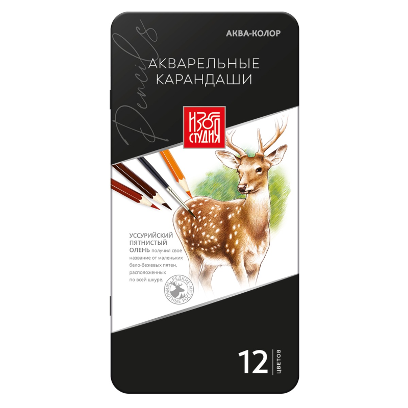 Акварельные художественные карандаши "Аква-колор" "Изостудия" IZO-WCPM12 Набор акварельных карандашей заточенный 2 х 12 цв. в металлическ